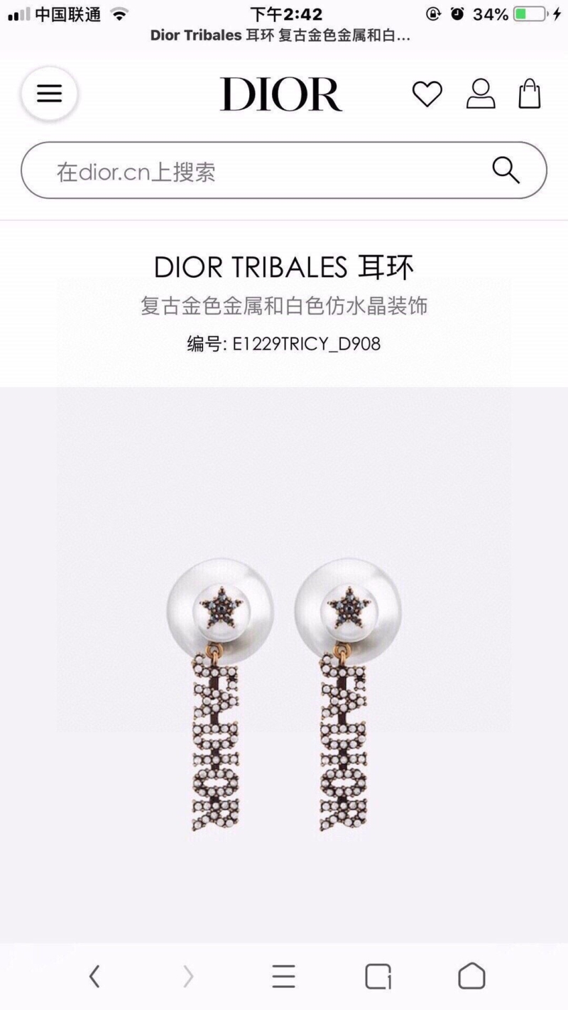 Christian Dior Earrings